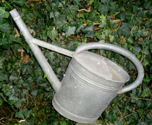 Alte antike gießkanne - alte,