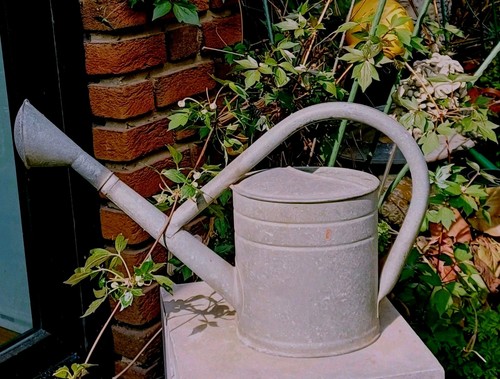 Top klein selten liter zink - top,